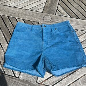 Carve Designs - Oahu Shorts - 10